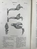 1904年 达尔文《兰花借助昆虫传粉的各种巧妙构造》 38幅木版画插图 漆布精装32开 商品缩略图10