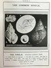 1910年 康诺尔德《自然之域拾珍》 26幅插图 真皮精装32开 商品缩略图11