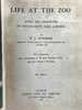 1906年 动物园生活 16幅插图 漆布精装32开 商品缩略图2