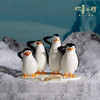 欢喜小将《马达加斯加》之企鹅正版授权潮玩手办桌面摆件新年礼物 商品缩略图0