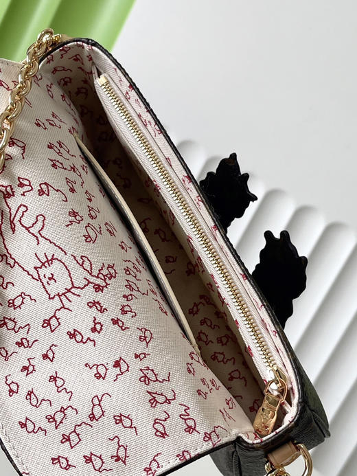 秋冬特惠💰700 原单LV M15148 尺寸：23.5×12×4.3cm CHAIN IVY 链条斜挎包 变码芯片 商品图7