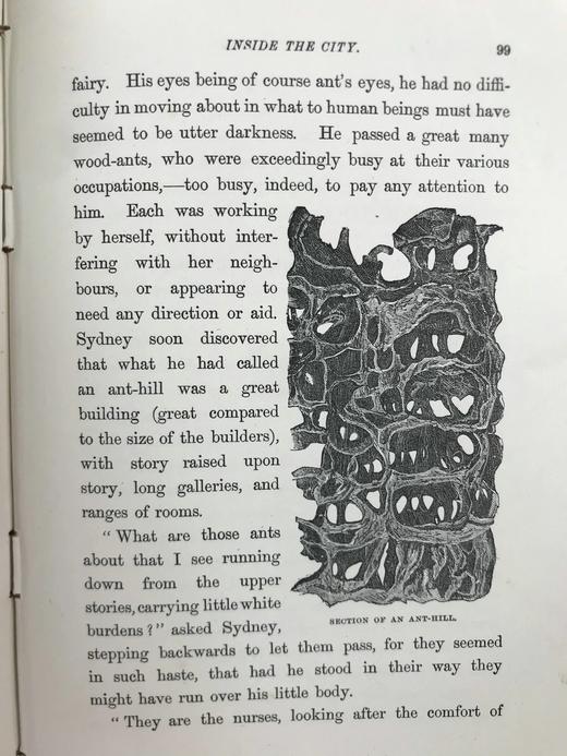 1882年 艾洛《小精灵弗里斯基特》 配精美插图 漆布精装32开 商品图11