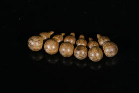 AN1224-08 西马葫芦 2g多  6个