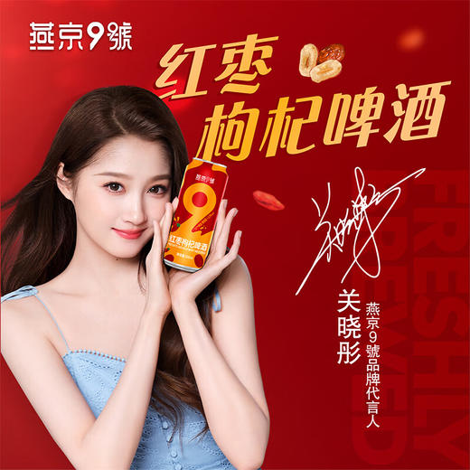 燕京9号10度500ml*12罐整箱红枣枸杞啤酒原浆 商品图3