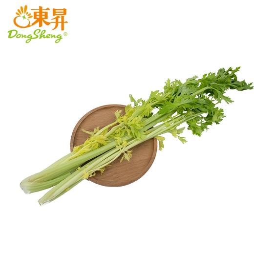 桂河芹菜  青菜辅料 广州蔬菜新鲜配送 300g 商品图0
