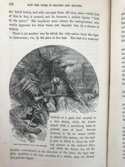 约19世纪后期 自然罗曼司 约百幅木版画插图 漆布精装大32开 商品图9