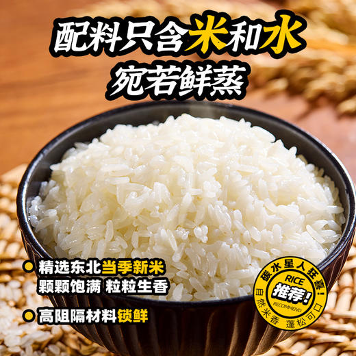 【自热鲜米饭】方便速食优质大米夜宵新品匠心烹饪美味下饭菜 商品图6