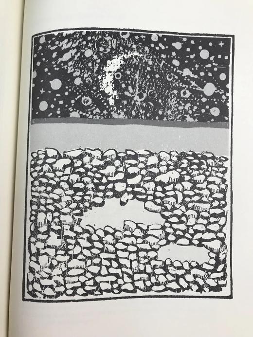 限量版！沃尔特・惠特曼《草叶集》 配插图 富兰克林图书馆豪华皮装本 商品图7