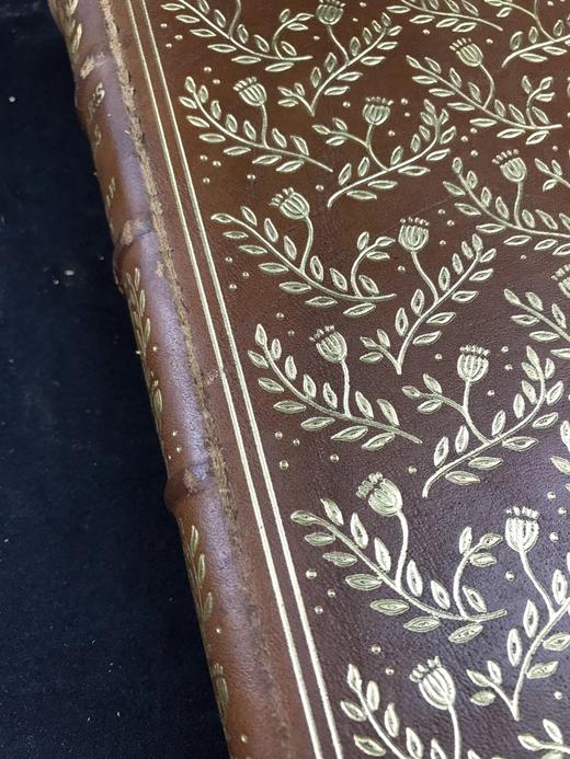 限量版！乔纳森・斯威夫特《格列佛游记》 配插图 富兰克林图书馆豪华皮装本 商品图13