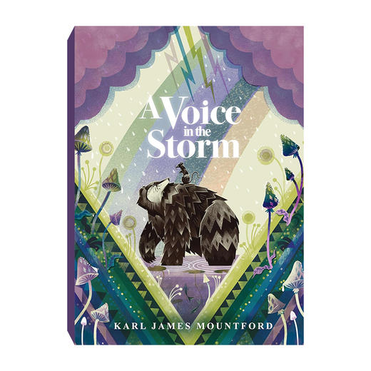 A Voice in the Storm 暴风雨中的声音  商品图0