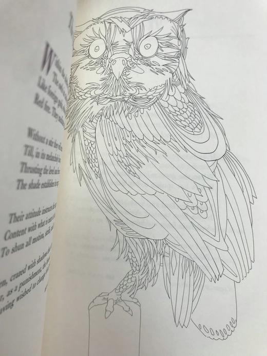 含藏书票限量版！波德莱尔《恶之花》 配插图 豪华皮装18开 商品图6