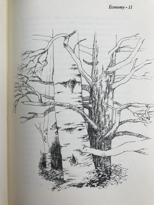 限量版！含藏书票 亨利・D・梭罗《瓦尔登湖》配插图 富兰克林图书馆豪华皮装本 商品图13