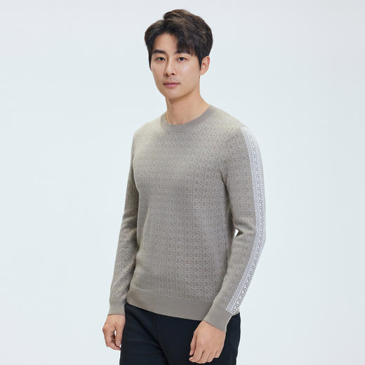 【门店同款】圣得西2025年冬季亮丝暗提花毛衫简约男士保暖针织衫 商品图1