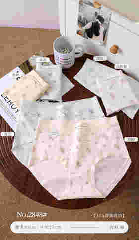 女士中大版精梳棉长绒棉印花内裤三角裤2848