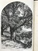 1892年 十九世纪诗人作品集 145幅版画插图 漆布精装32开 商品缩略图3