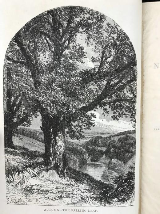 1892年 十九世纪诗人作品集 145幅版画插图 漆布精装32开 商品图3