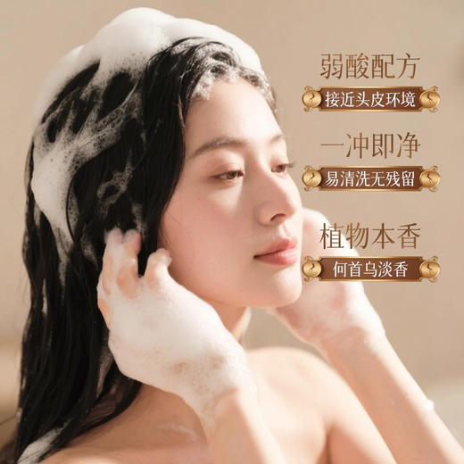 【苦参碱去屑止痒洗发水】控油蓬松毛囊清洁草本生姜控油洗头膏持久香 商品图3