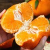 四川甘平柑橘、果肉细嫩无渣、甜润爆汁、果肉饱满、无籽超甜、高糖低酸、甜到心尖还无渣 商品缩略图5