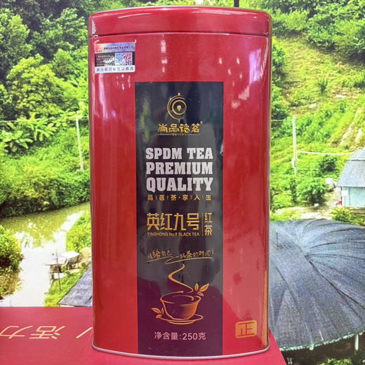尚品德茗红正英九红茶250g 商品图0