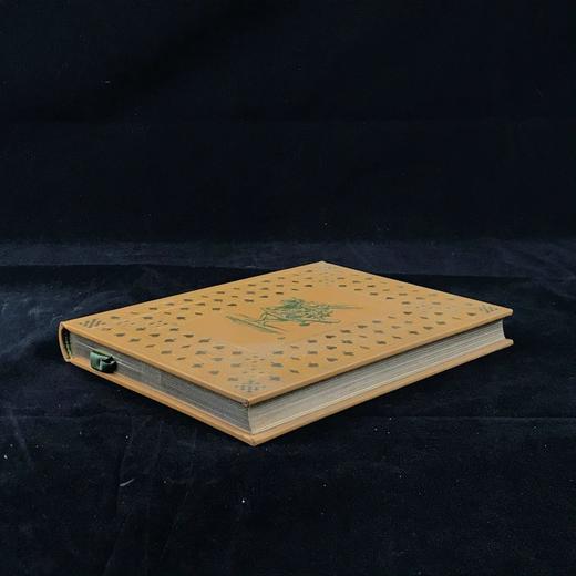 限量版！爱丽丝梦游仙境 约翰·坦尼尔经典插图 豪华皮装32开 商品图1