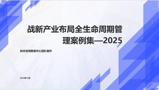 案例研习 | 战新产业布局全生命周期管理案例集2025 商品图0