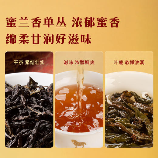 八马茶业｜鸿运当头高香乌龙茶礼大红袍清香铁观音单丛组合211g 商品图5