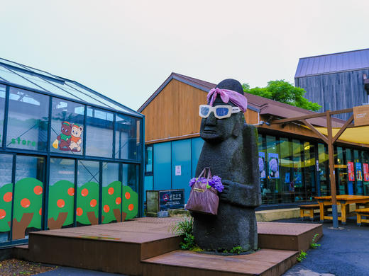 3月24日韩国【济州岛免签】韩风来袭、花花世界海岸线5天（广州直飞） 商品图8