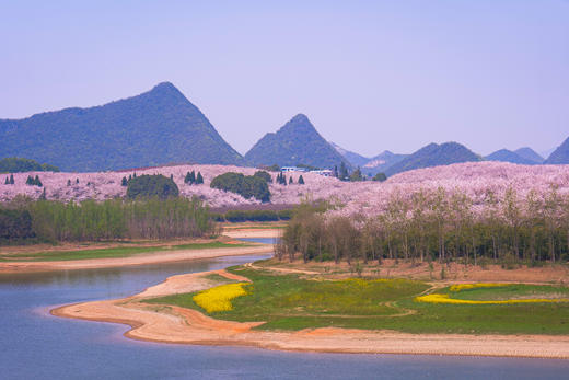 3.12确定出发【贵州】平坝樱花—普定桃花岛—金海雪山4天摄影<特惠> 商品图3