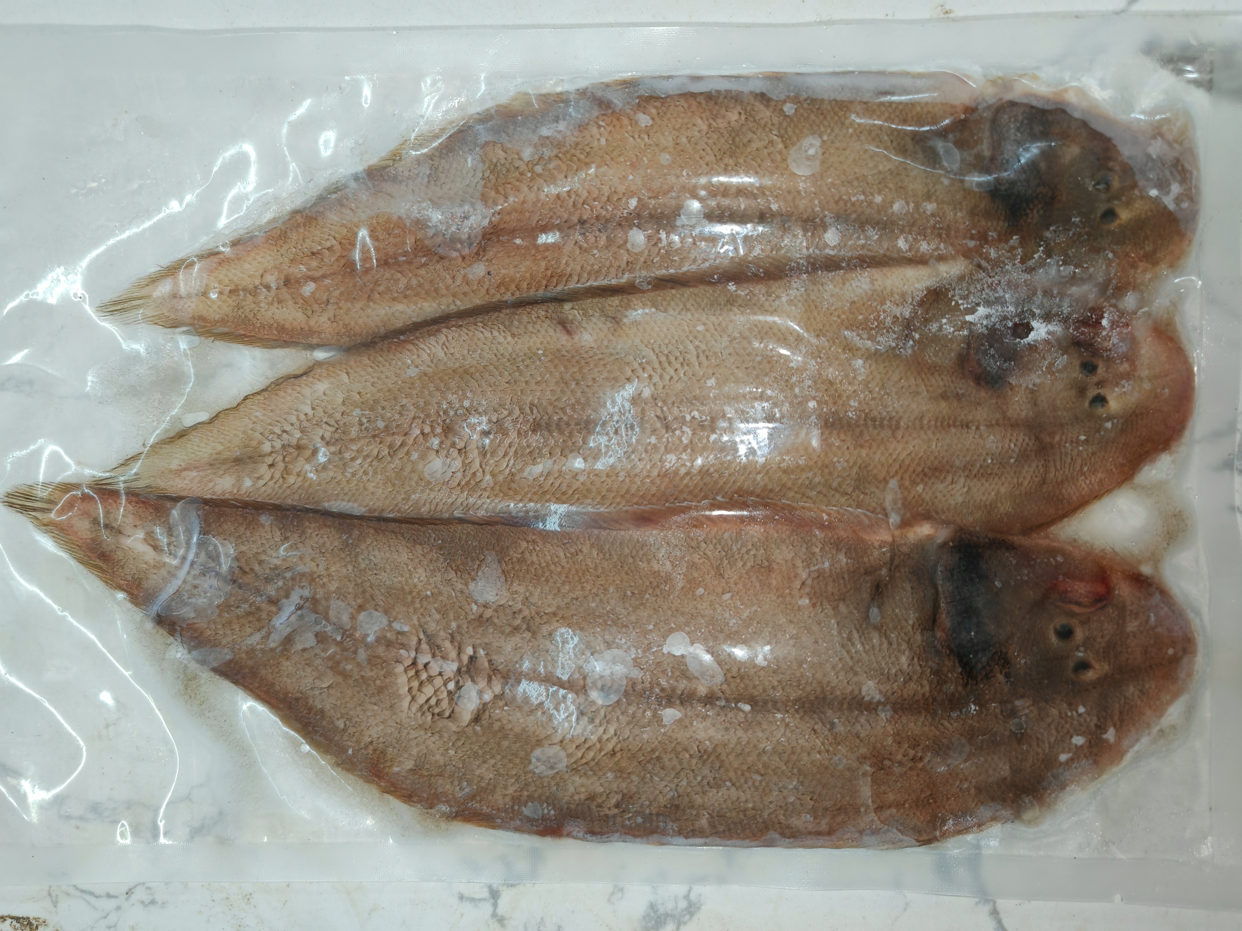 硇洲海捕野生冰鲜龙利鱼