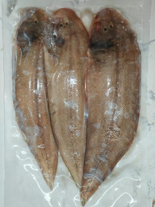 硇洲海捕野生冰鲜龙利鱼 商品图0