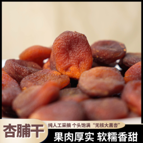 熊星仁 土耳其大黑杏脯