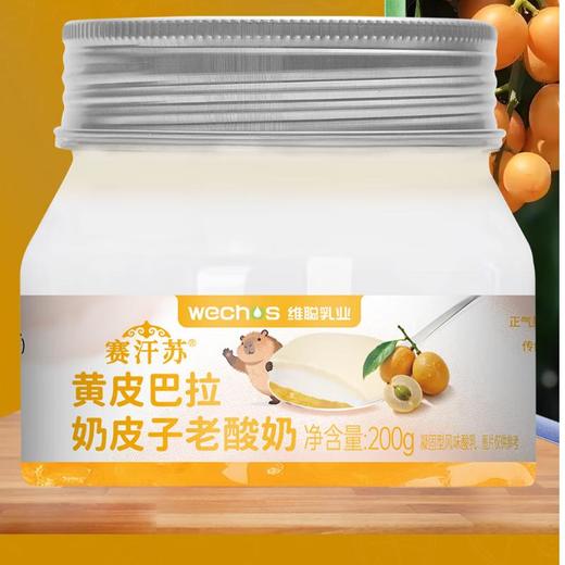 赛汗苏黄皮巴拉奶皮子老酸奶200g 商品图0