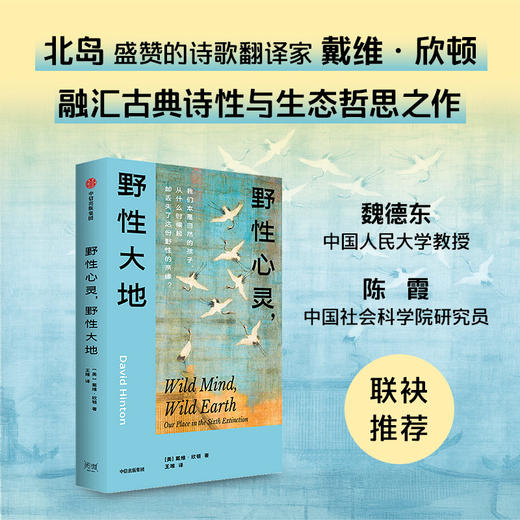 野性心灵，野性大地 商品图1