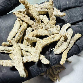 生僵蚕250克  500克  1kg