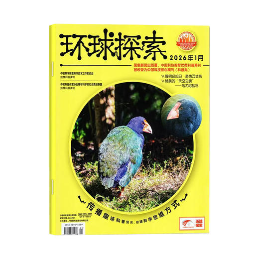环球探索杂志6-12岁儿童读物 2026年1-3月新刊 25年1-12月刊现货 2024年1-12月刊现货 杂志订阅 青少年探索科普 商品图3