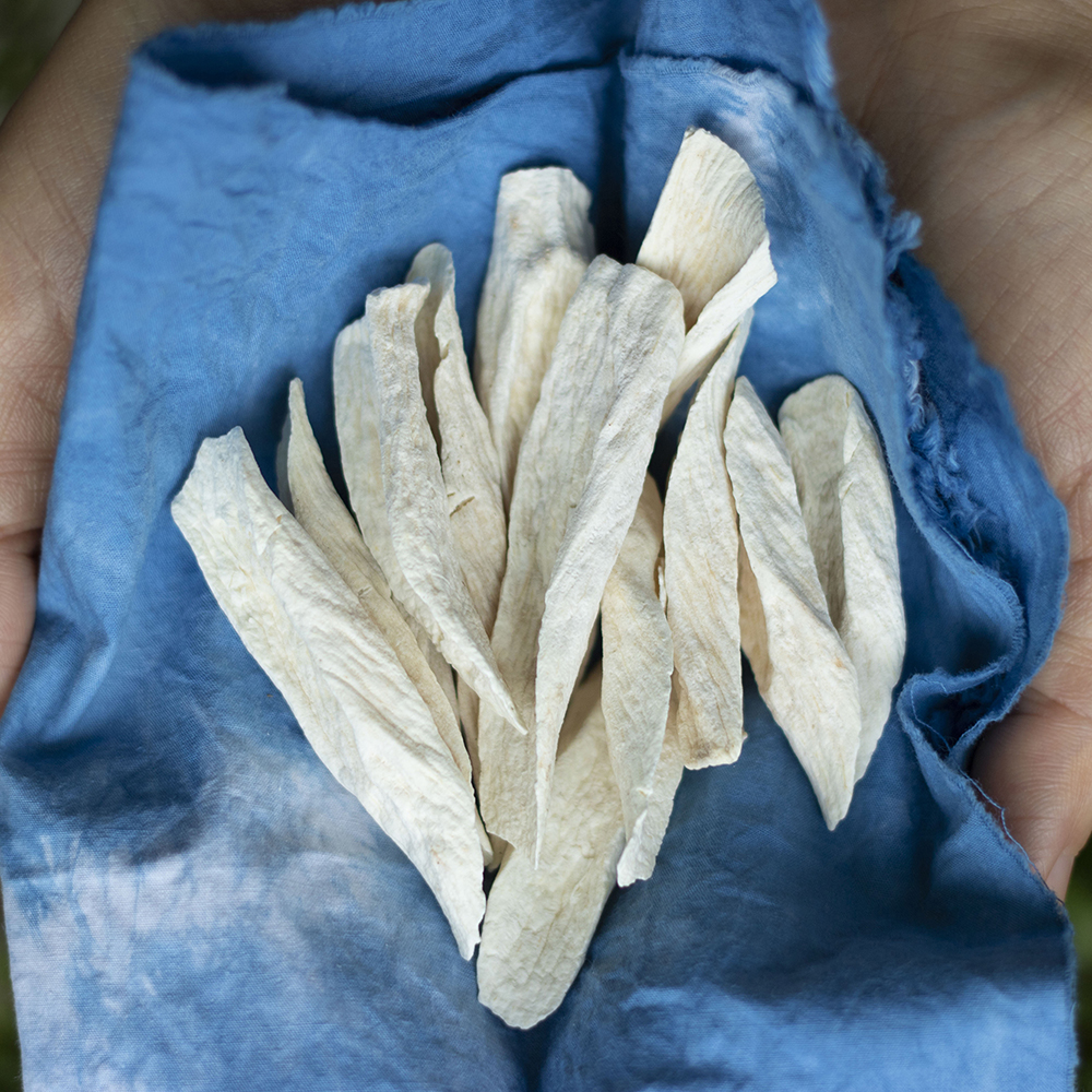 铁棍怀山药片丨山药干