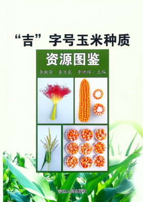 吉”字号玉米种质资源图鉴