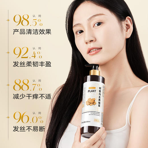 买一送一【专攻油扁塌，深度护理】阿古丽娅-何首乌五黑植萃洗发水 500ml/瓶 商品图2