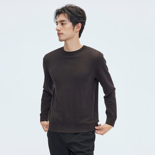 【门店同款】圣得西2025年秋冬季毛衫含绵羊毛男士舒适圆领针织衫 商品图1