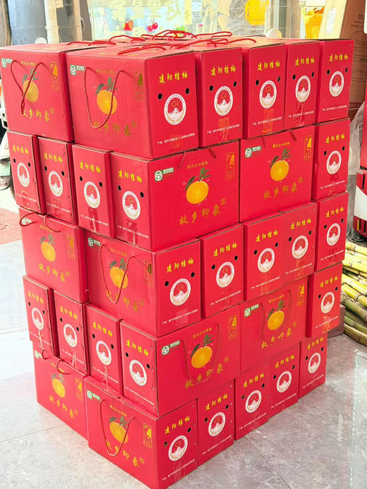 福建南平建阳 甜桔柚 商品图9