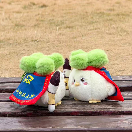 蒜鸟-华科大学生不容易 商品图3