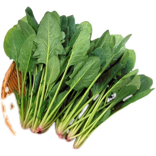 岳西高山菠菜300g 单份  ±20g 买放心菜就上瑞和泰 商品图0