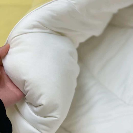 巨暖和！轻软蓬，赛鹅绒！恒源祥 新款云朵秋冬被 比鹅绒更柔软更温暖 绗缝花色（单被子） 商品图7