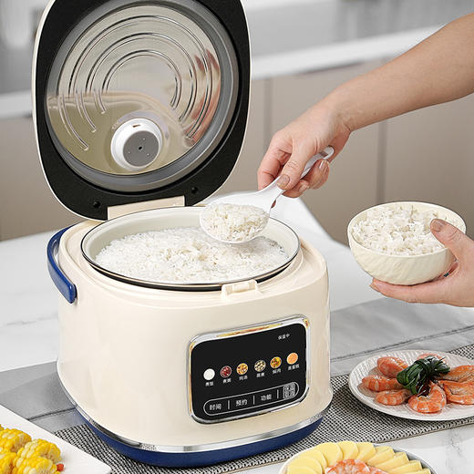 施耐德智能电饭煲	SWK-XFL47 商品图3