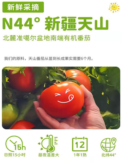 有机宝宝番茄酱  酸甜柔和 宝宝拌饭拌面 佐餐、煲汤 商品图1