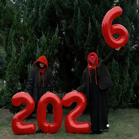 2026气球 （自备打气筒）