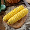 【云南金银水果玉米】皮薄汁多、玉米粒颗颗爆浆 商品缩略图1