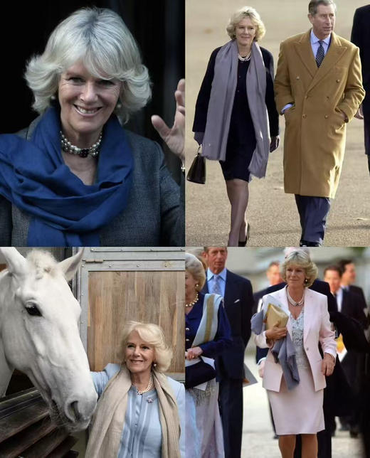 Pashmina羊绒围巾 克什米尔披肩 素胚。 商品图3