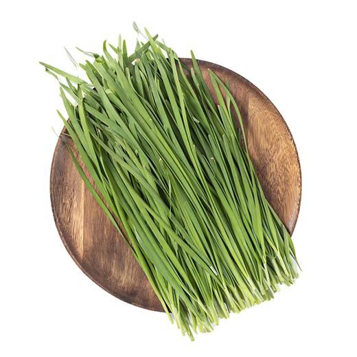 庐江韭菜280g 单份  ±20g 买放心菜就上瑞和泰 商品图0