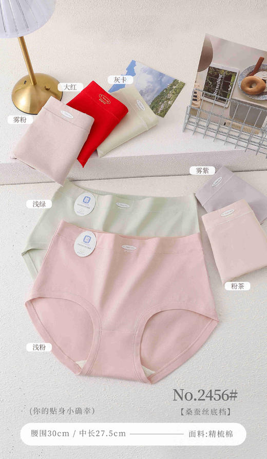 女士中大版精梳棉长绒棉内裤三角裤2456 商品图0
